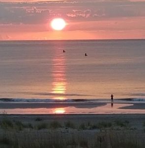 Meet your Posher, Donna